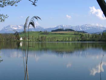 soppensee_28